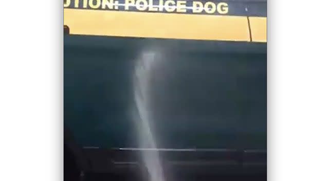K9 Max clearly enjoyed chasing the hose. Source: Facebook.