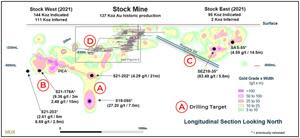 Heat Map of Longitudinal Section of the Stock Property