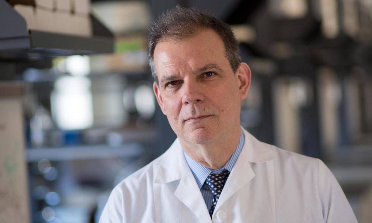 <span>Arturo Casadevall: ‘If science doesn’t work, it’s not going to give humanity the tools it needs.’</span><span>Photograph: Chris Hartlove/Johns Hopkins University</span>