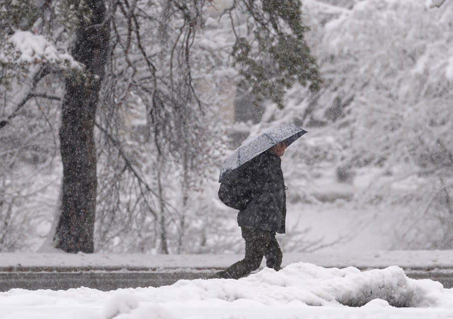 A pedestrian uses an umbrella for cover during a snow storm, Thursday, March 14, 2024, in Denver. Forecasters predict that the storm will persist until early Friday, snarling traffic along Colorado’s Front Range communities. (AP Photo/David Zalubowski)