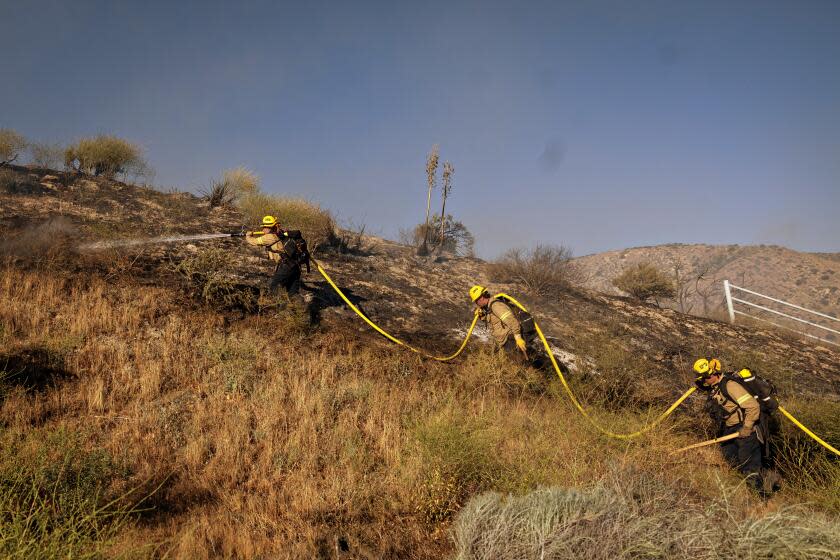 Gorman, CA - June 16: On Orwin road fire crews battle a hot spot at the Gorman Brush Fire in northern Los Angeles County on Sunday, June 16, 2024 in Gorman, CA. (Jason Armond / Los Angeles Times)