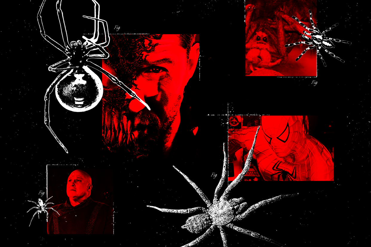 Photo illustration of spiders and related themes