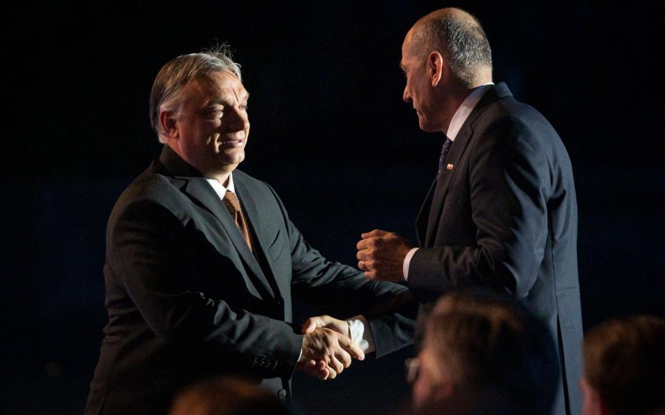 Mr Orban and Mr Jansa are allies. - AFP