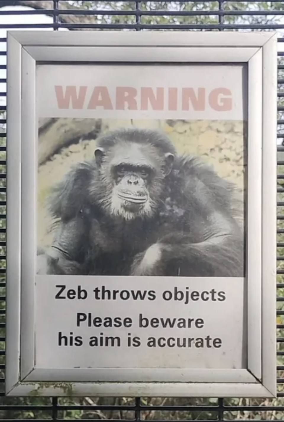 "Zeb throws objects"