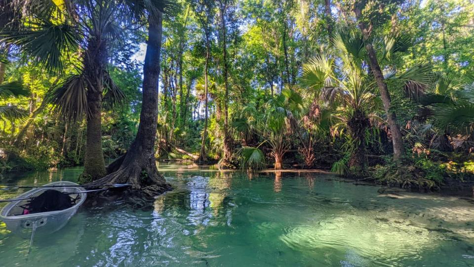 <div class="inline-image__caption"> <p>Rock Springs Kayaking.</p> </div> <div class="inline-image__credit"> Brandon Withrow </div>