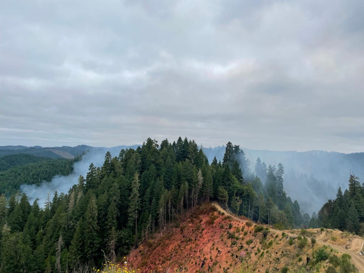 Photo of the Haight Creek Fire near Veneta, Oregon, taken on Thursday, July 20, 2023.