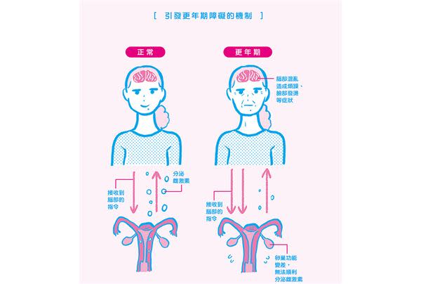 （圖片提供／台灣東販）