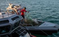 A member of the Mexican Navy destroys illegal fishing nets on the Cortes Sea in San Felipe, Mexico
