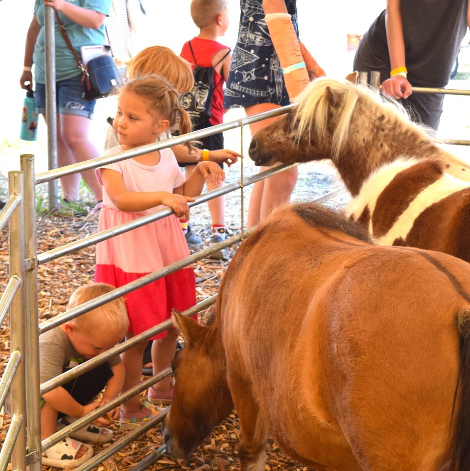 Loretta and Fulton Duling, visitors from Northwest Ohio, enjoy a moment petting ponies and other live animals in the kids area at the Independent Food Summit.