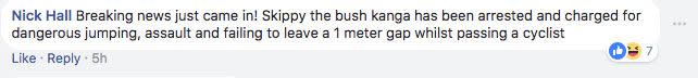 Another wry Facebook comment. Source: Facebook/Ash, Kip & Luttsy