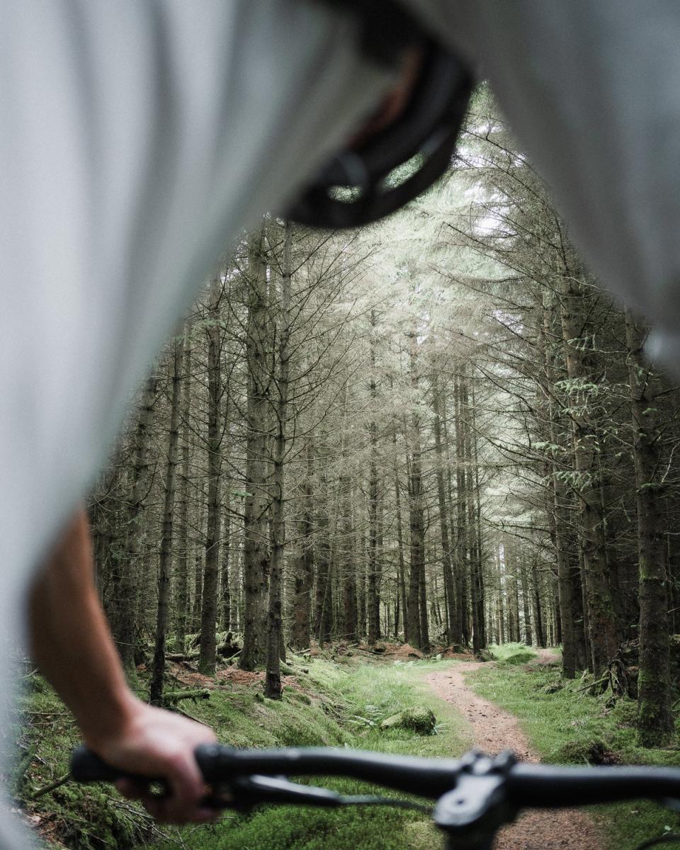 Mountain biking in Kielder Forest, Northumberland (The Travel Project)