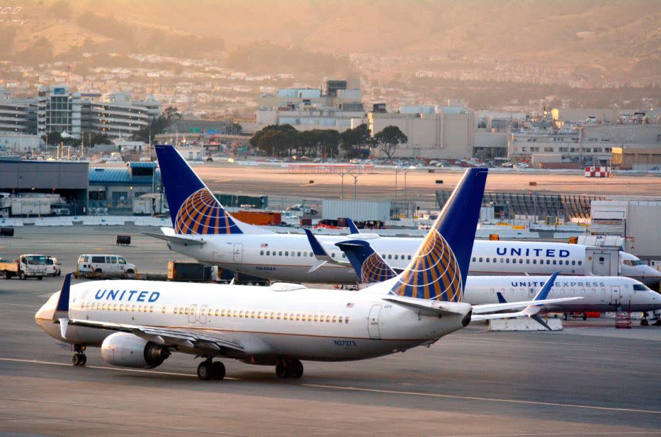 The dog was travelling in the cabin on a United flight to New York. Photo: Getty