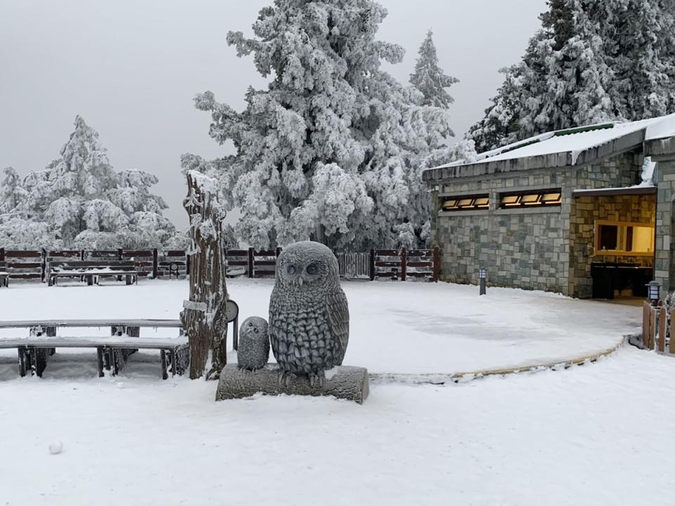 宜蘭縣太平山國家森林遊樂區10日雖已無降雪，多日積雪已成冰，園區一片銀白世界仍湧入許多遊客入園，園區上午10時許已預告將啟動車輛總量管制。（羅東林區管理處提供）