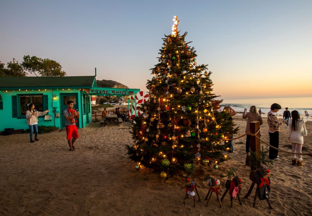 standalone feature of lighted christmas tree on the crystal cove state park, newport beach, crystal cove state park