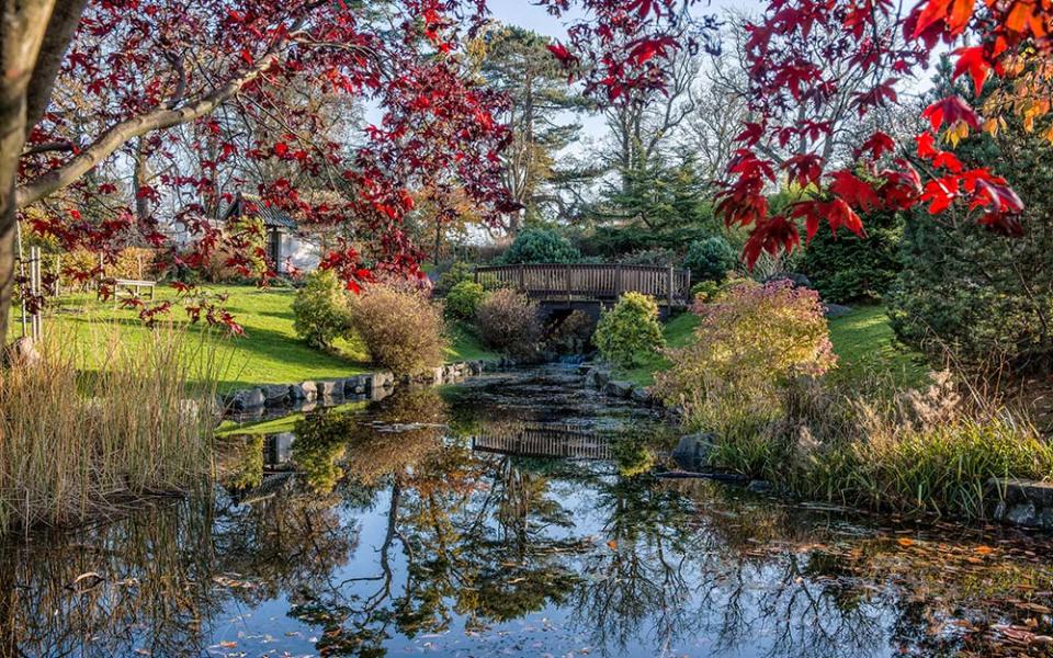 Many Edinburgh residents don't even know this garden exists - MICHAEL BRYANT