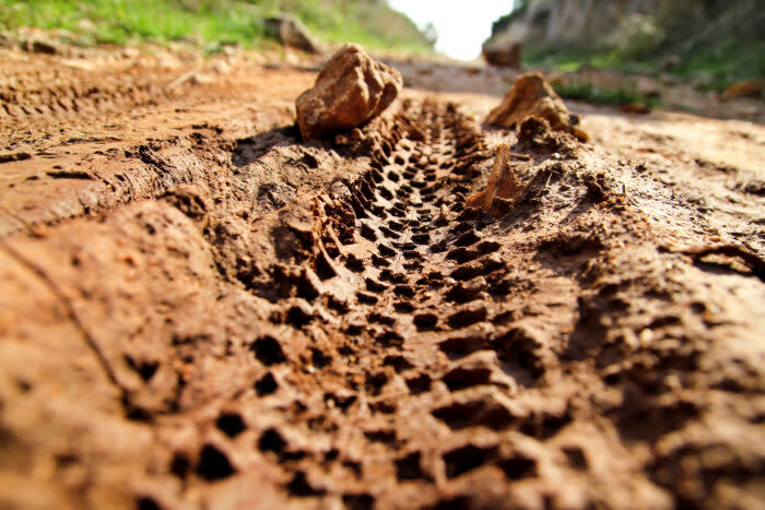 tire tracks in mud