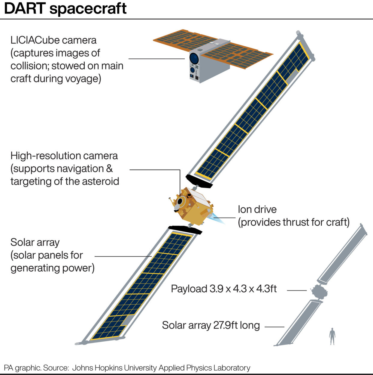 Dart graphic