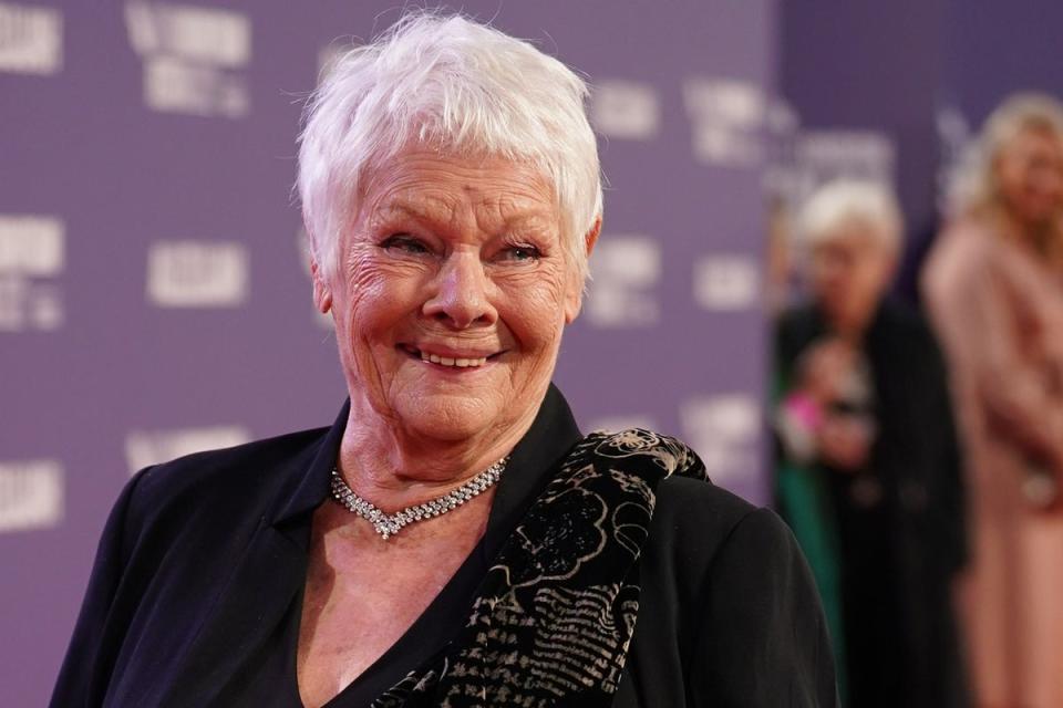 Dame Judi Dench (Yui Mok/PA) (PA Wire)