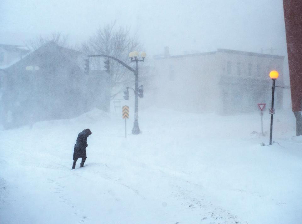 A woman makes her way through the snow-covered streets in St. John’s on Friday, Jan. 17, 2020. The City of St. John's has declared a state of emergency, ordering businesses closed and vehicles off the roads as blizzard conditions descend on the Newfoundland and Labrador capital.