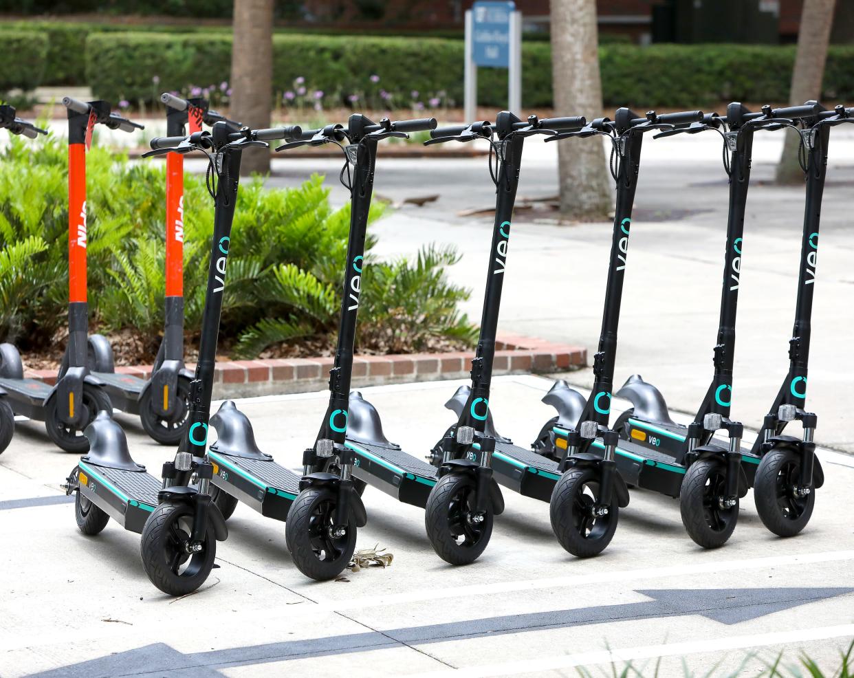 Electric scooters parked in one of the pickup stations near the Plaza of the Americas on the University of Florida campus, in Gainesville Fla. June 7, 2021. The City of Gainesville and the University of Florida have partnered to launch a one-year pilot program, that begins this week, that will bring two-wheeled, electric scooters to town.