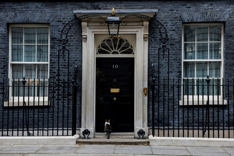 There have been five Conservative prime ministers in Downing Street since 2010 (CARLOS JASSO)