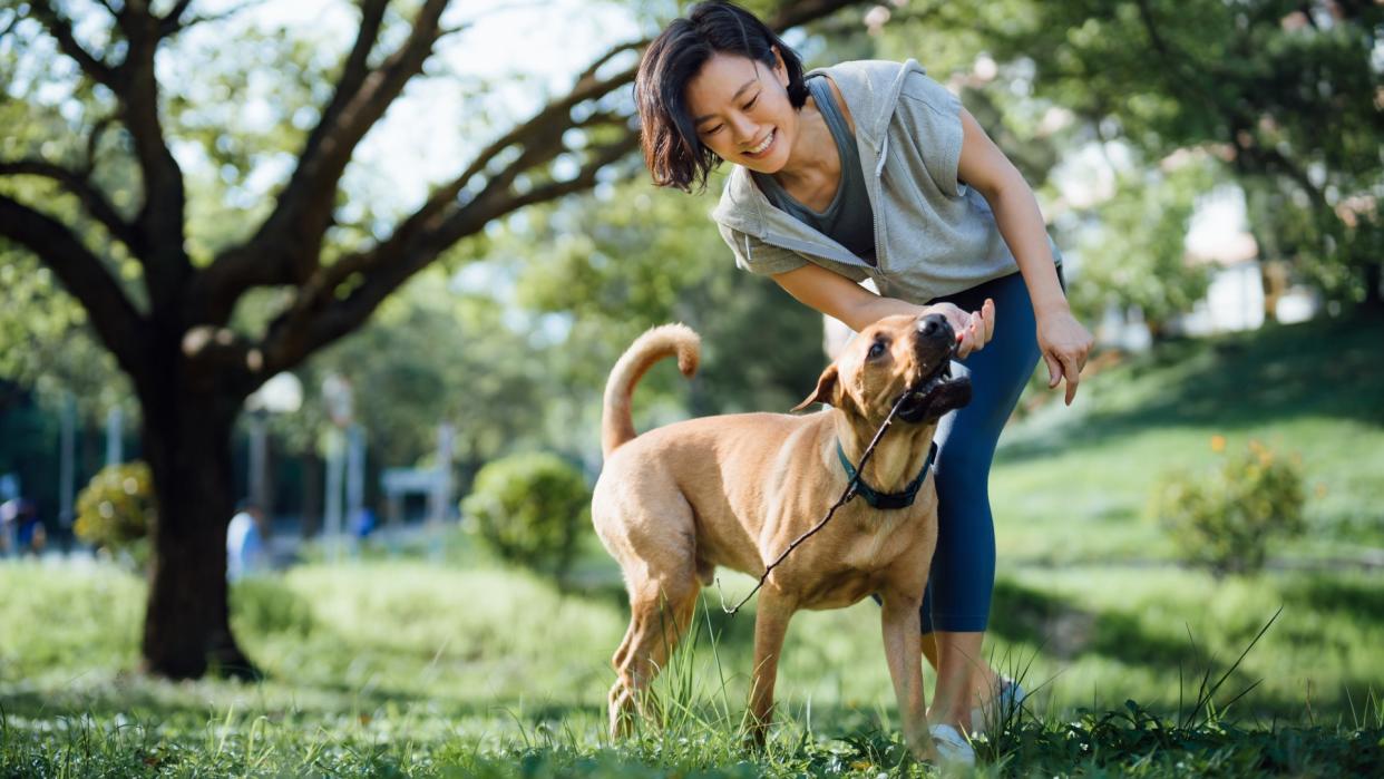  Woman playing fetch with her dog in the park. 