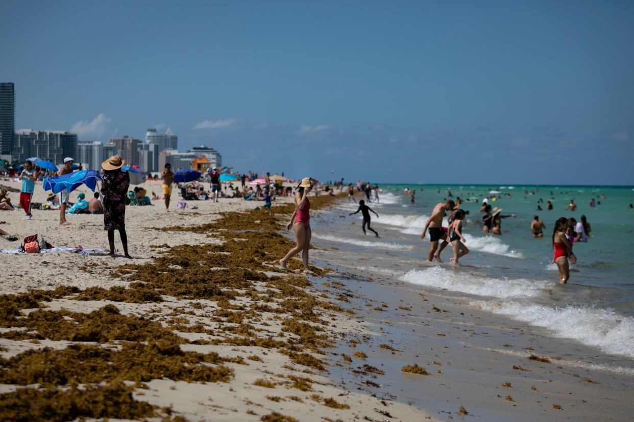 Florida is reporting record daily totals of new coronavirus cases. (Eva Marie Uzcategui/AFP via Getty Images)