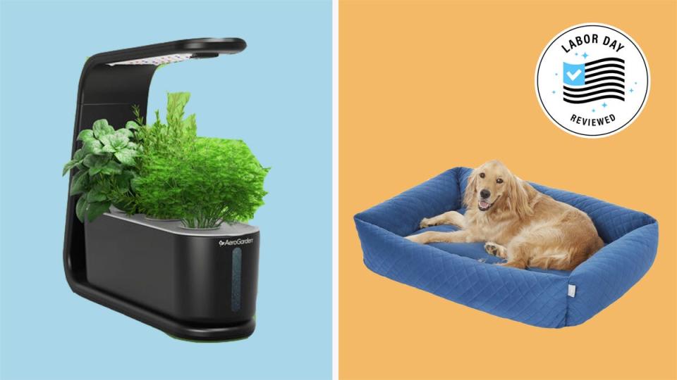 Turn your home into a mini-greenhouse, a pet paradise or more with these extended Labor Day 2022 sales.