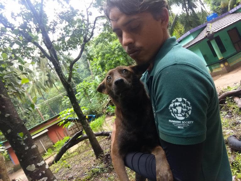 Kerala floods: Rescue workers trying to save thousands of animals at risk of drowning