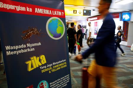 Passengers arriving from Singapore walk near a banner about Zika virus at the Soekarno-Hatta airport in Jakarta, Indonesia, August 30, 2016. The banner reads, "Beware of mosquitoes that spread Zika virus." REUTERS/Beawiharta