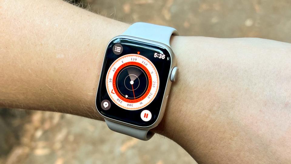 Apple Watch Series 8 shown on wrist