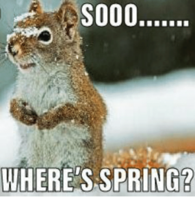 Funny Spring Memes