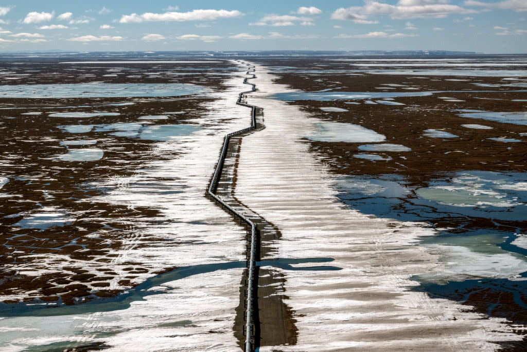 Alaska Climate Change Wildlife Oil Drilling Caribou BirdsScience