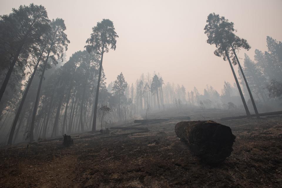 The Dixie Fire sparked on July 13 and has burned over 217,000 acres, over 50 structures, and has over 5,000 people fighting the blaze on July 27, 2021.