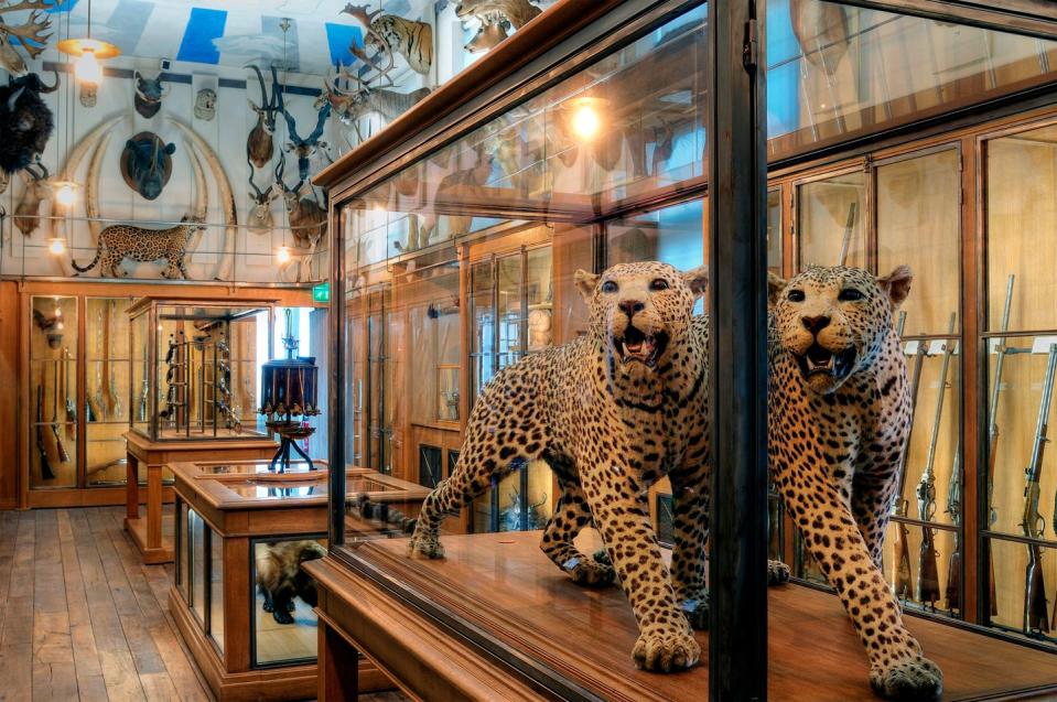 cr20pc france, paris, le marais district, musee de la chasse et de la nature museum of hunting and nature in the hotel de guenegaud