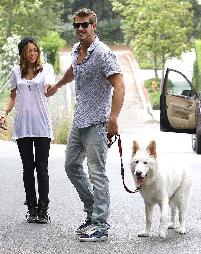 Cyrus Hemsworth Walks Dog