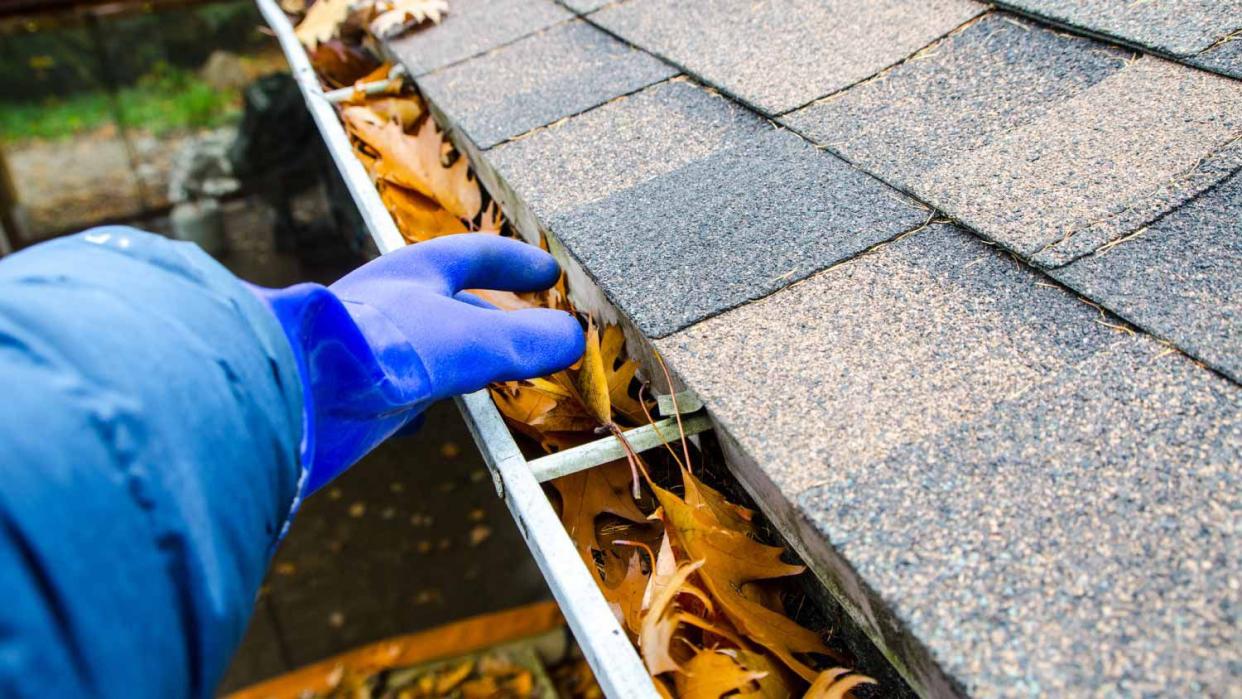 Man removing autumn leaves from gutter