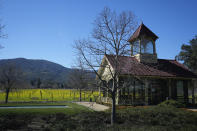 Mustard fills a vineyard in the background at the historic Inglenook winery in Rutherford, Calif., Wednesday, Feb. 28, 2024. Brilliant yellow and gold mustard is carpeting Northern California's wine country, signaling the start of spring and the celebration of all flavors sharp and mustardy. (AP Photo/Eric Risberg)