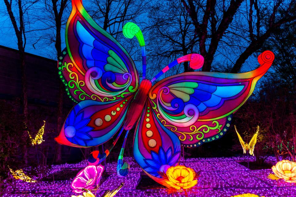 A butterfly is one of the 50 displays at the Wild Lights Festival, returning to Blank Park Zoo in April.
