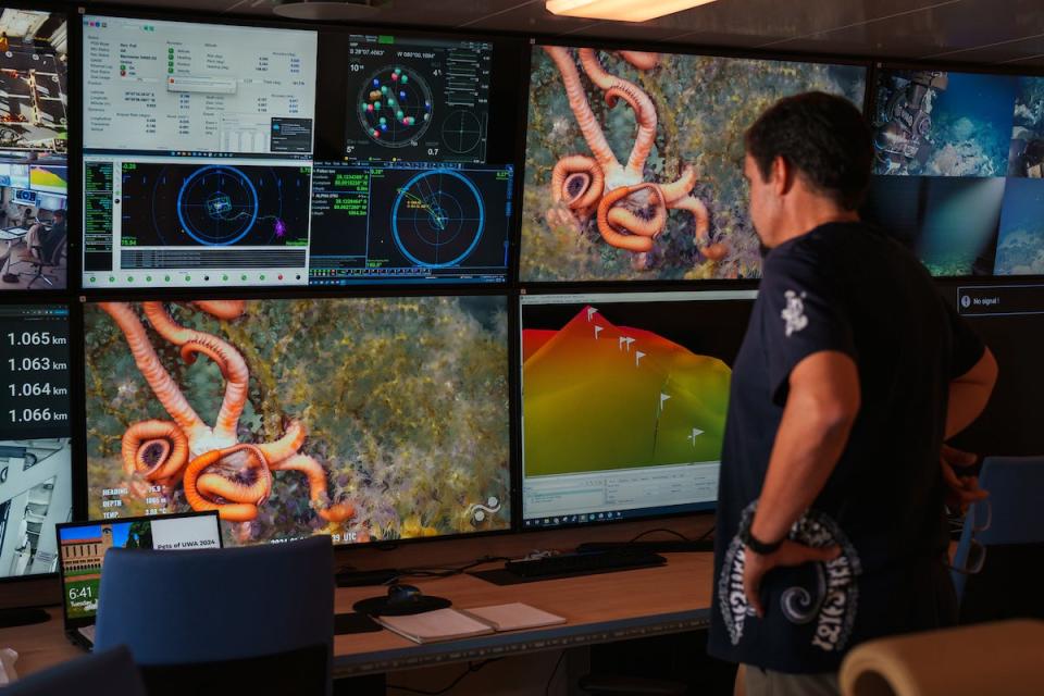 During the first dive to an unnamed and unexplored seamount, Javier Sellanes (Chief Scientist, Universidad Católica del Norte) is left stunned at the incredible biodiversity seen here. CREDIT: Alex Ingle/ Schmidt Ocean Institute