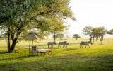 Sabora Tented Camp, Serengeti, Tanzania