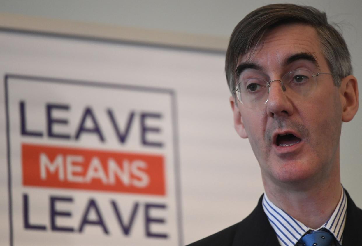 Supporters such as Dominic Raab, Priti Patel and Jacob Rees-Mogg (above) had not even been involved with the ERG before the shock Leave vote: PA