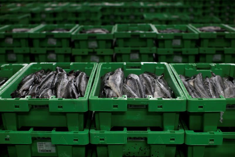 FILE PHOTO: A haul of fish caught in British waters sits in a freezer at the Danske Fiskeauktioner, a fish auction facility in the village of Thyboron in Jutland, Denmark