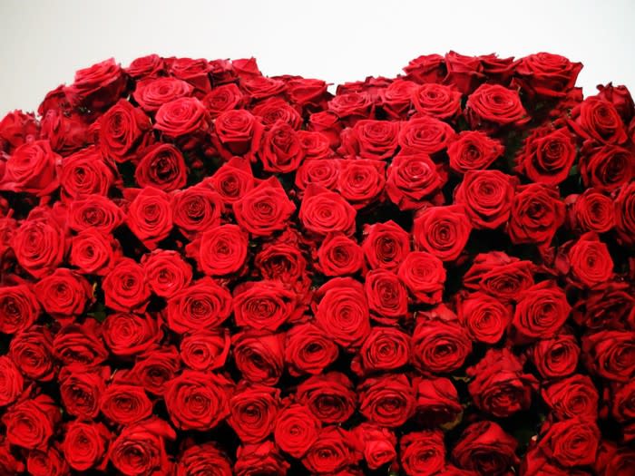 A big pile of bright red roses