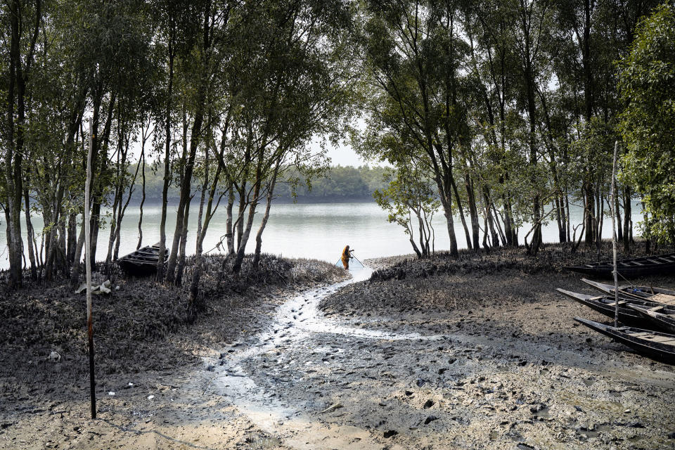 Sundarbans, the world’s largest mangrove forest. (Fabeha Monir for NBC News)