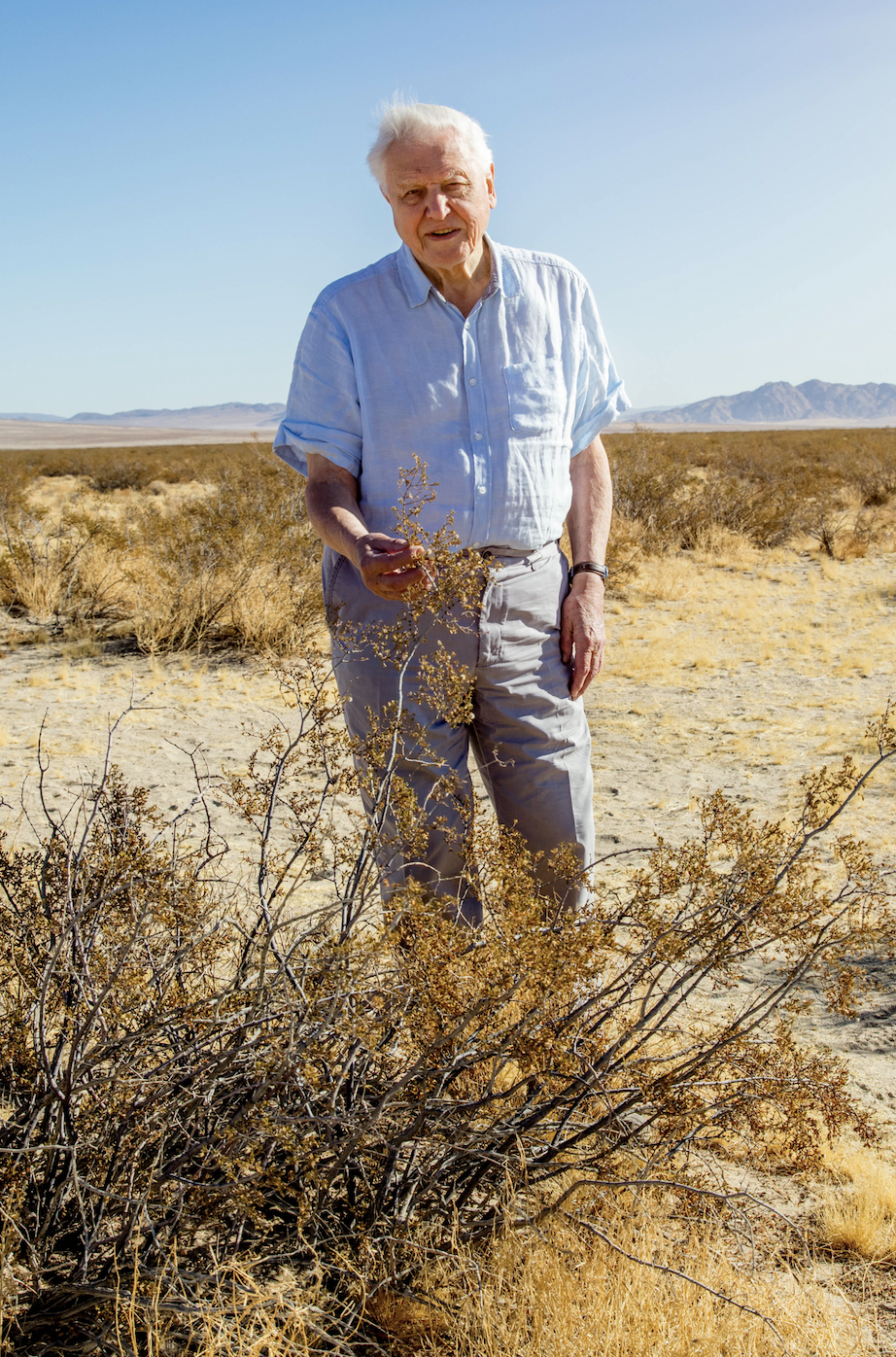 sir david attenborough standing the desert in southern california