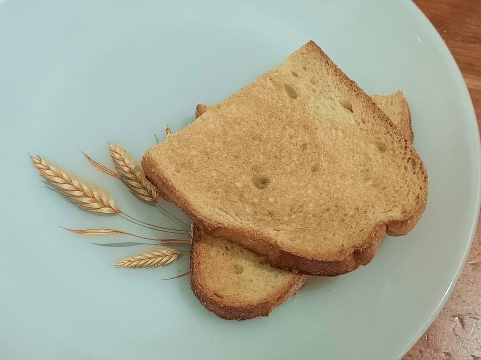 Two pieces of toast with a wheat design on a blue plate