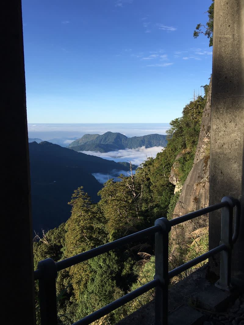 明隧道每一格都是流動的鮮活風景。