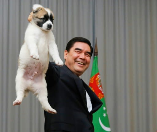 The breed's status in Turkmenistan is growing thanks to in large part to the efforts of President Gurbanguly Berdimuhamedov