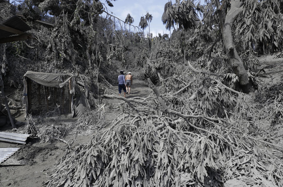 Dos lugareños recorren las afueras de Laurel, al sur de las Filipinas, el 14 de enero del 2020, después de que la hisla de Taal fuese devastada por la erupción de un volcán. Toda la isla estaba cubierta de cenizas. (AP Photo/Aaron Favila)